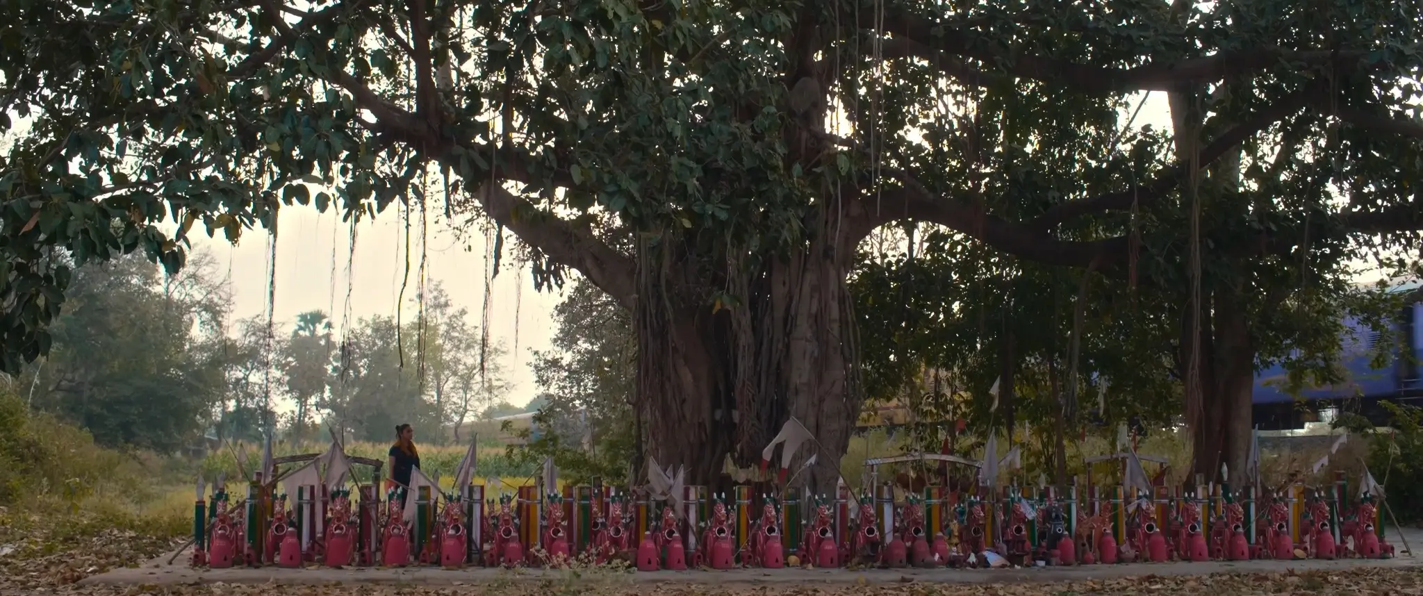 A woman walking beside a large banyan tree surrounded by votive objects